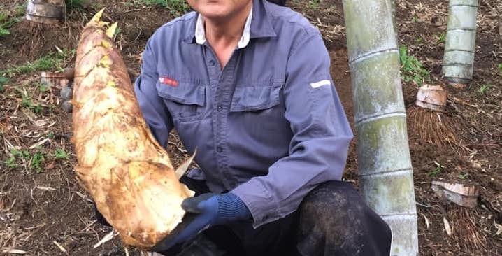 農園主の作業風景